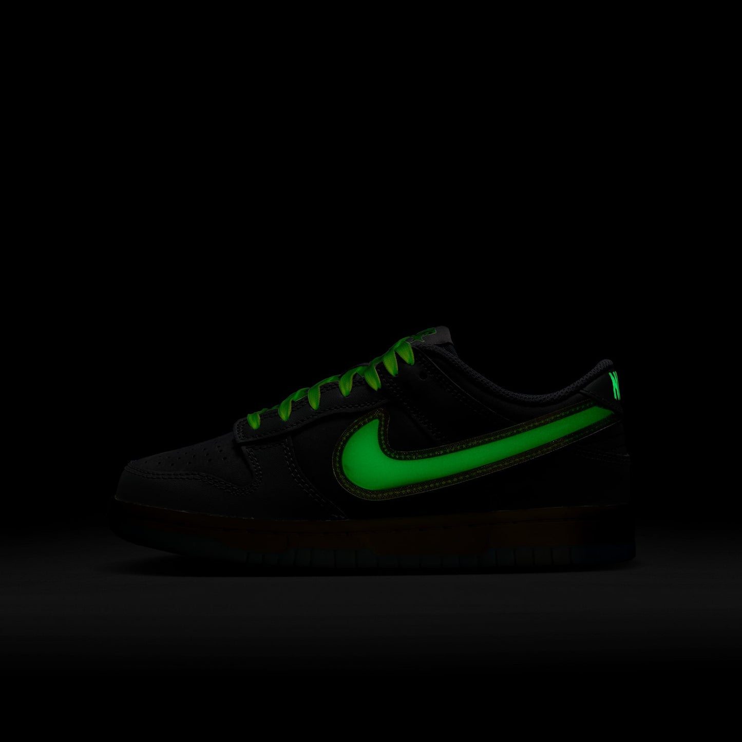 Nike Grade School Gs Dunk Low Sneakers