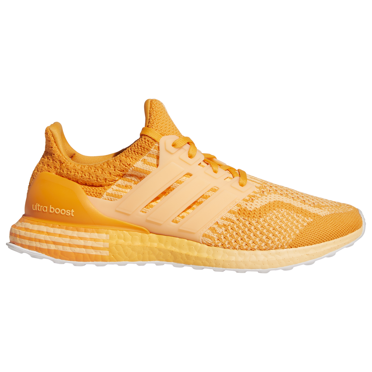 Orarus,Aciora,Ftwwht-