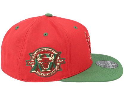 Mitchell & Ness Men's NBA Chicaco Bulls Nightmare Fitted Fitted Caps