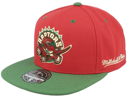 Mitchell & Ness Men's NBA Nightmare Fitted Hwc Raptors Fitted Caps