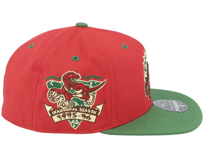 Mitchell & Ness Men's NBA Nightmare Fitted Hwc Raptors Fitted Caps