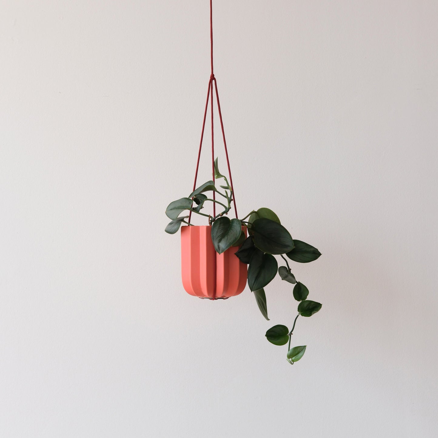 Wrap Hanging Kit