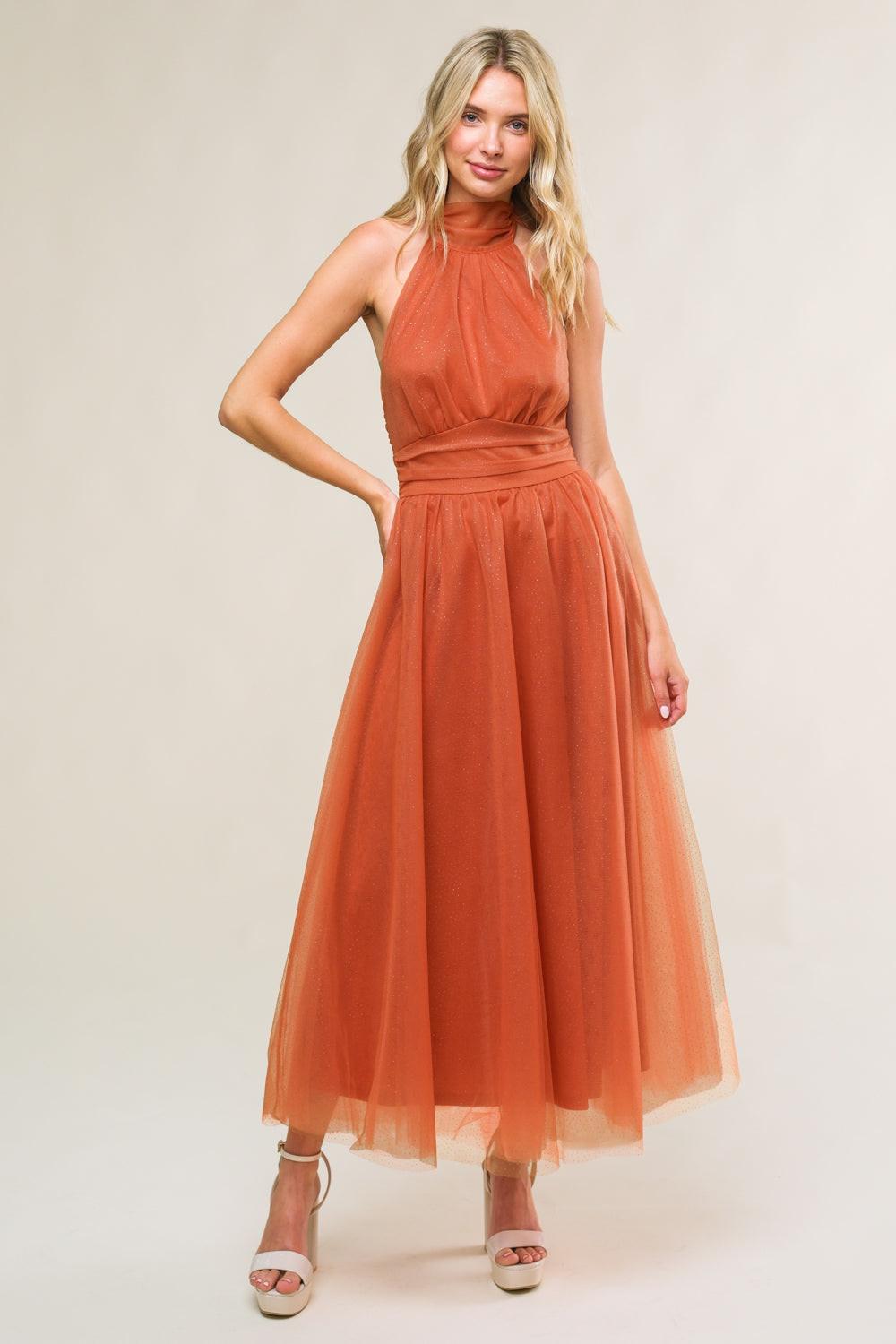 Every Now and Then Mesh Midi Dress