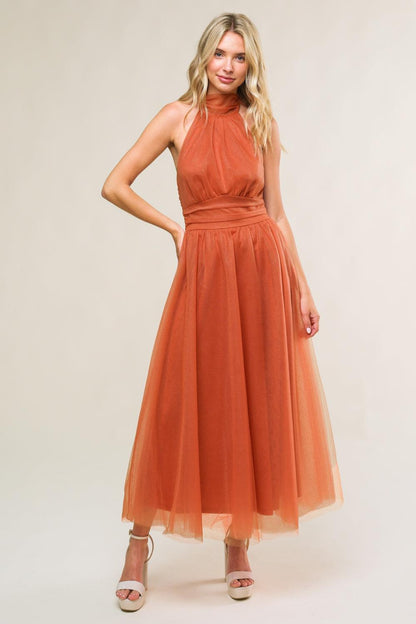 Every Now and Then Mesh Midi Dress