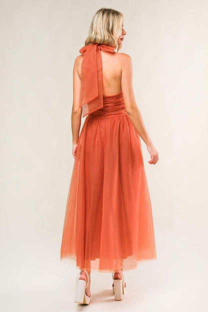 Every Now and Then Mesh Midi Dress
