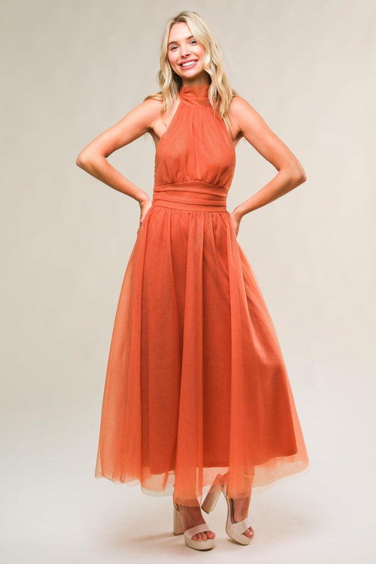 Every Now and Then Mesh Midi Dress