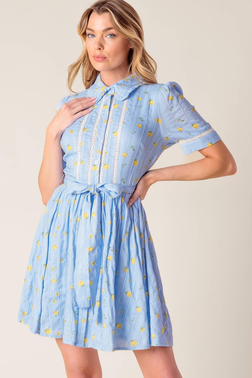 Starlit Skies Woven Mini Dress