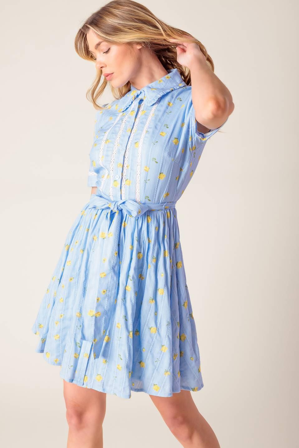 Starlit Skies Woven Mini Dress