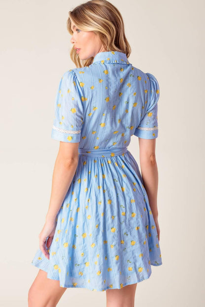 Starlit Skies Woven Mini Dress