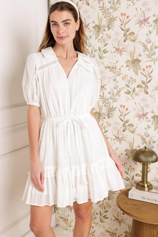 Starlight Soiree Woven Eyelet Mini Dress