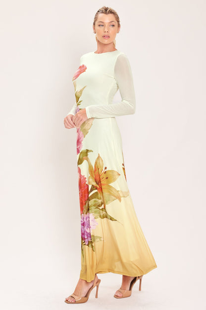 Pastel Botanic Splendor Power Mesh Maxi Dress