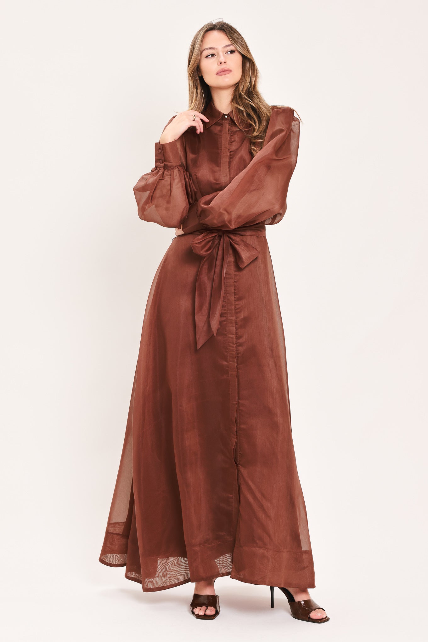Cedarlight Embrace Woven Organza Maxi Dress