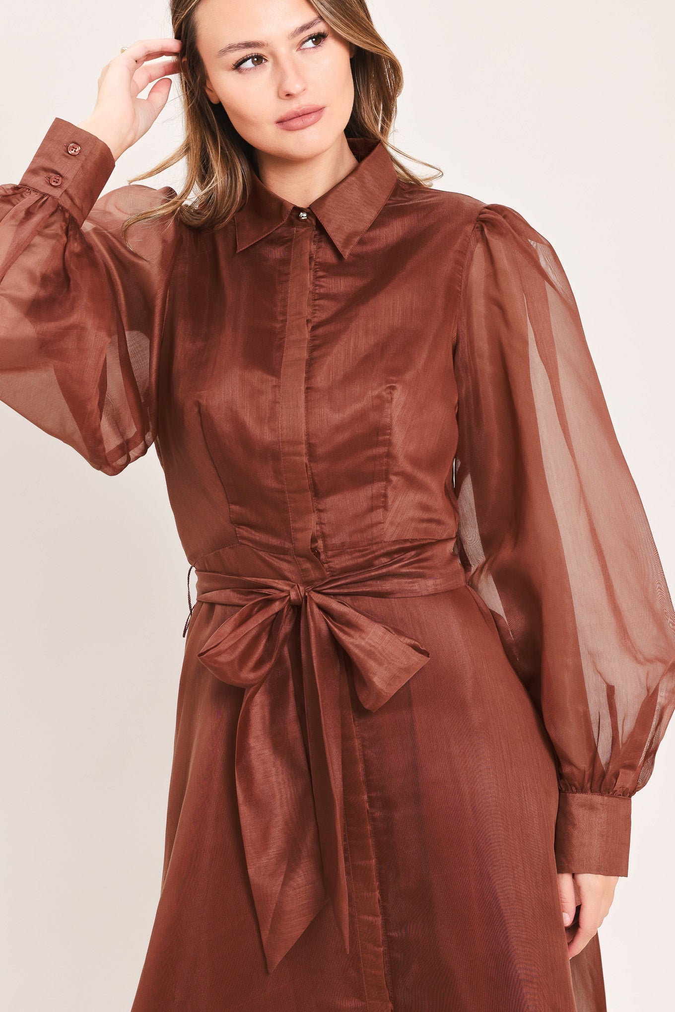Cedarlight Embrace Woven Organza Maxi Dress