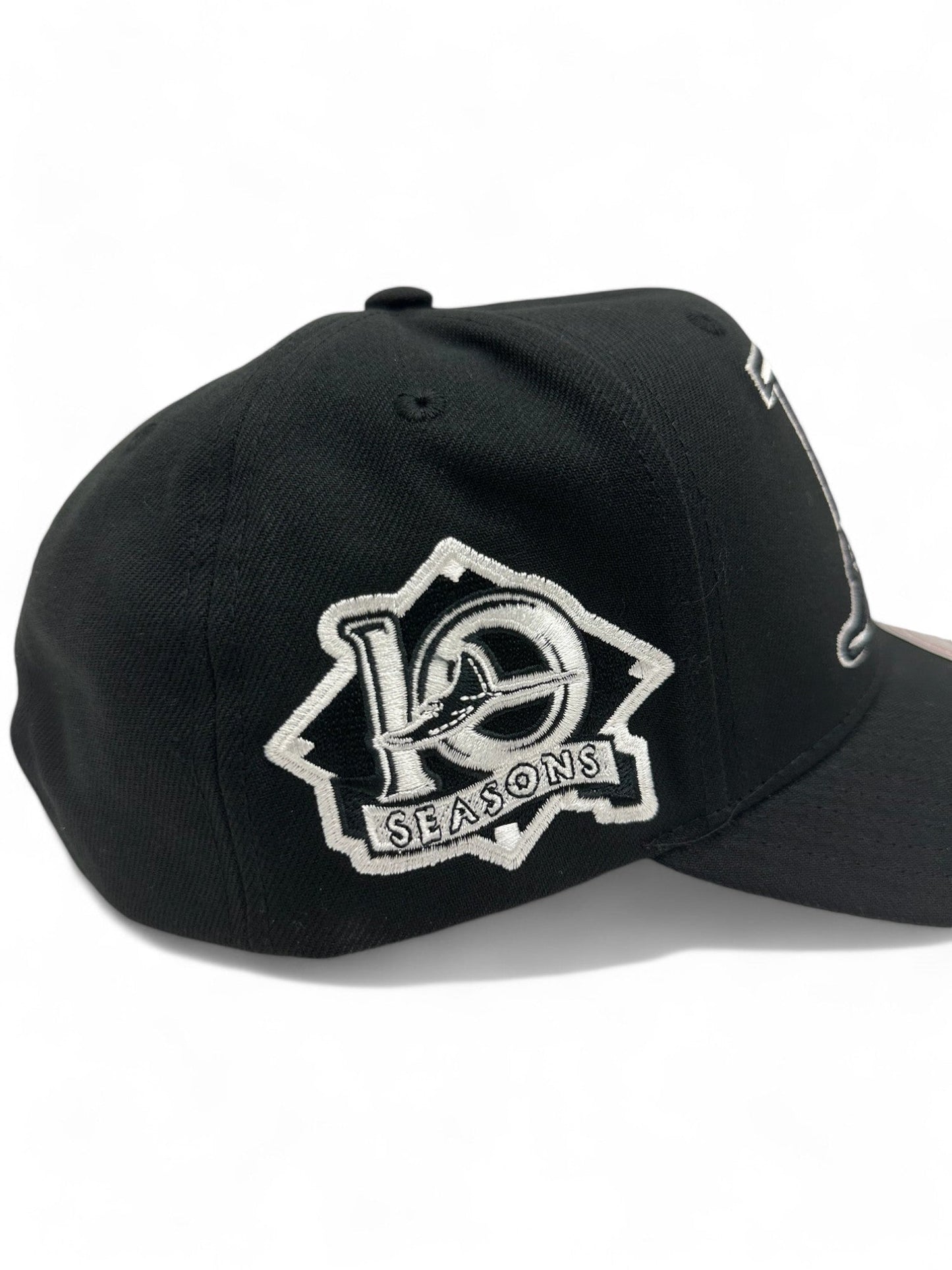 Mitchell & Ness Men's MLB Panda Pro Snapback Coop Rays Black