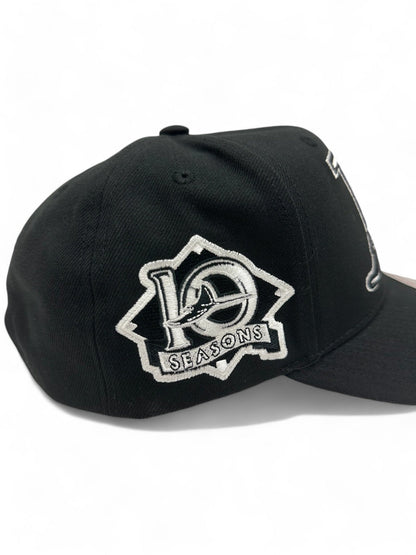Mitchell & Ness Men's MLB Panda Pro Snapback Coop Rays Black