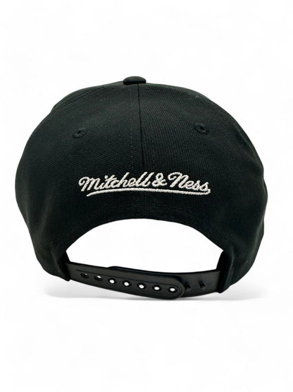 Mitchell & Ness Men's MLB Panda Pro Snapback Coop Rays Black