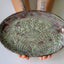 Moss Green