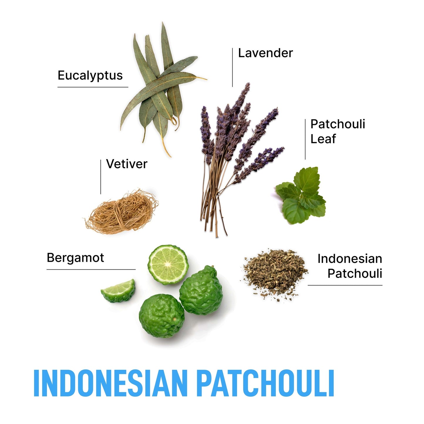 Indonesian Patchouli-