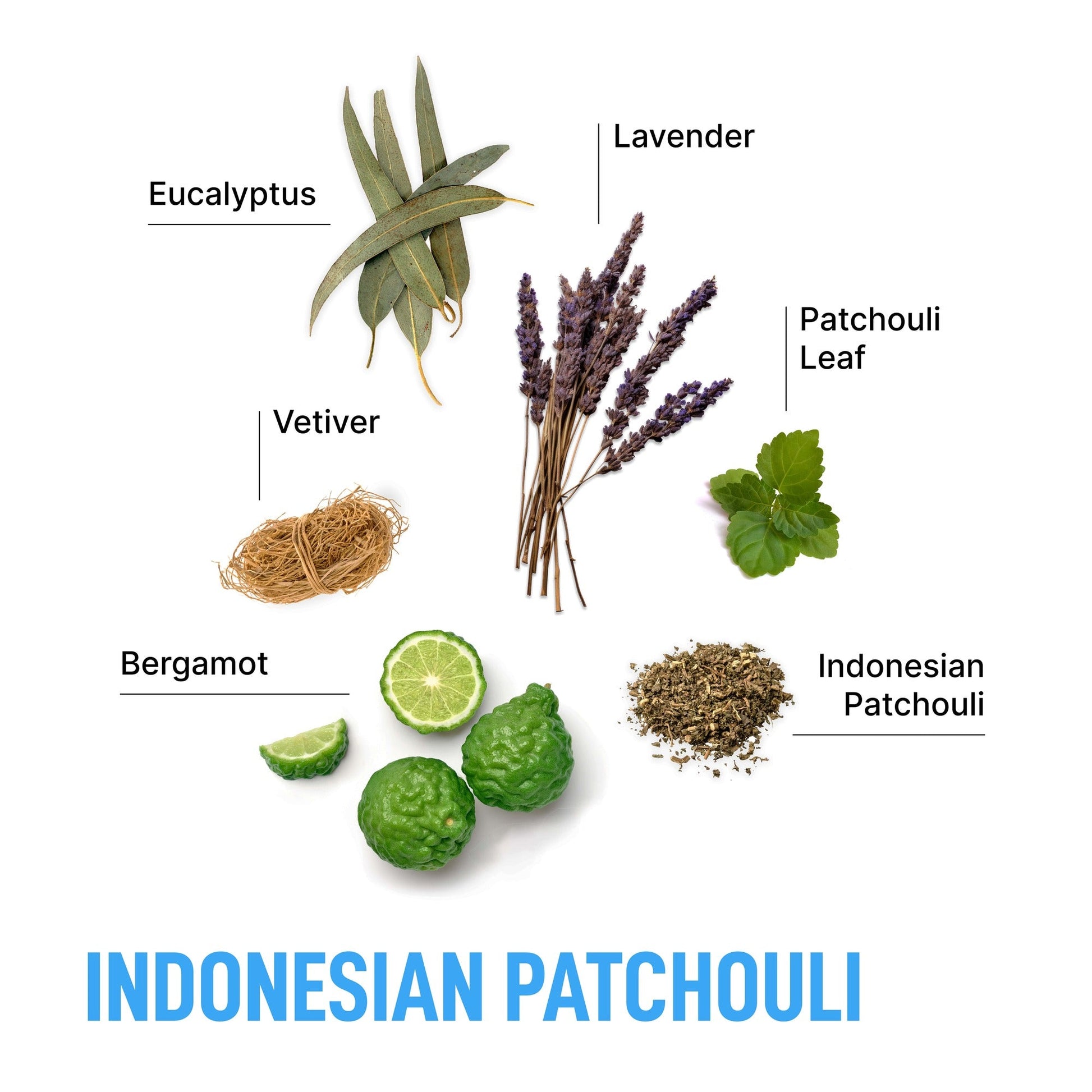 Indonesian Patchouli-