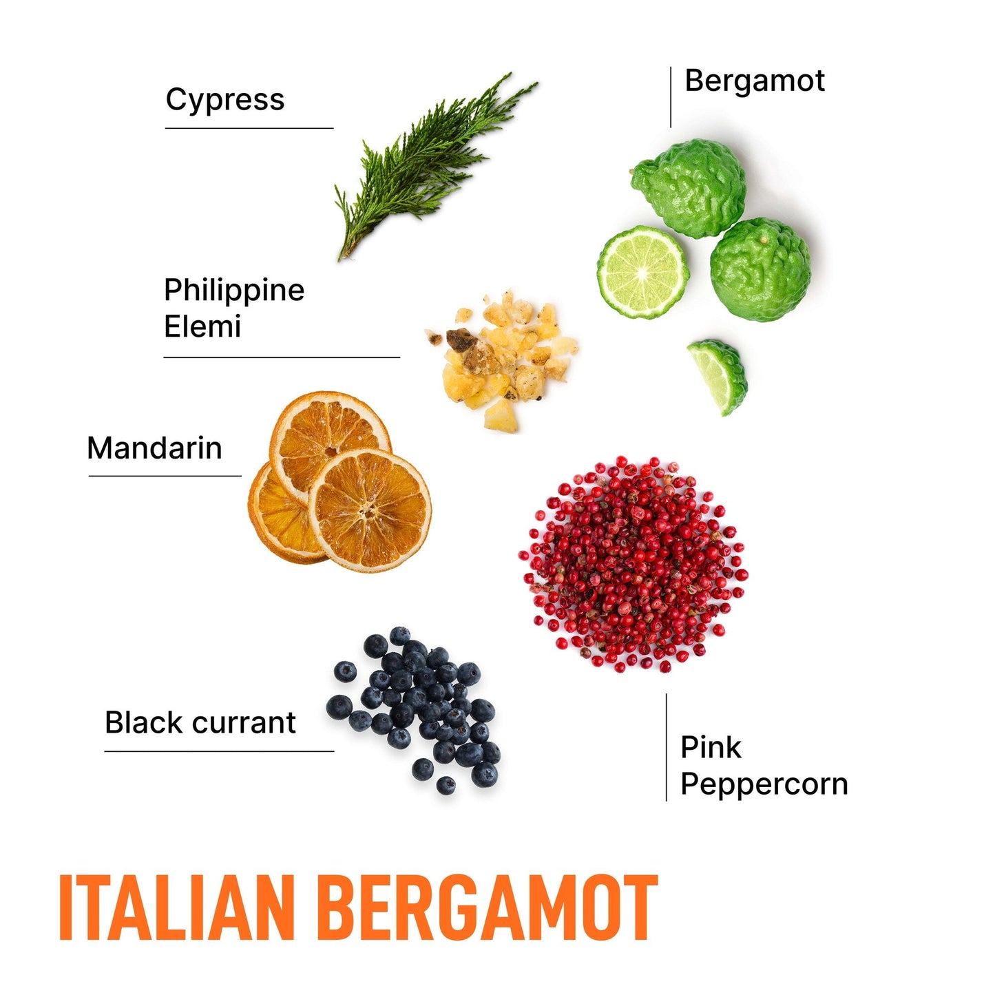 Italian Bergamot-