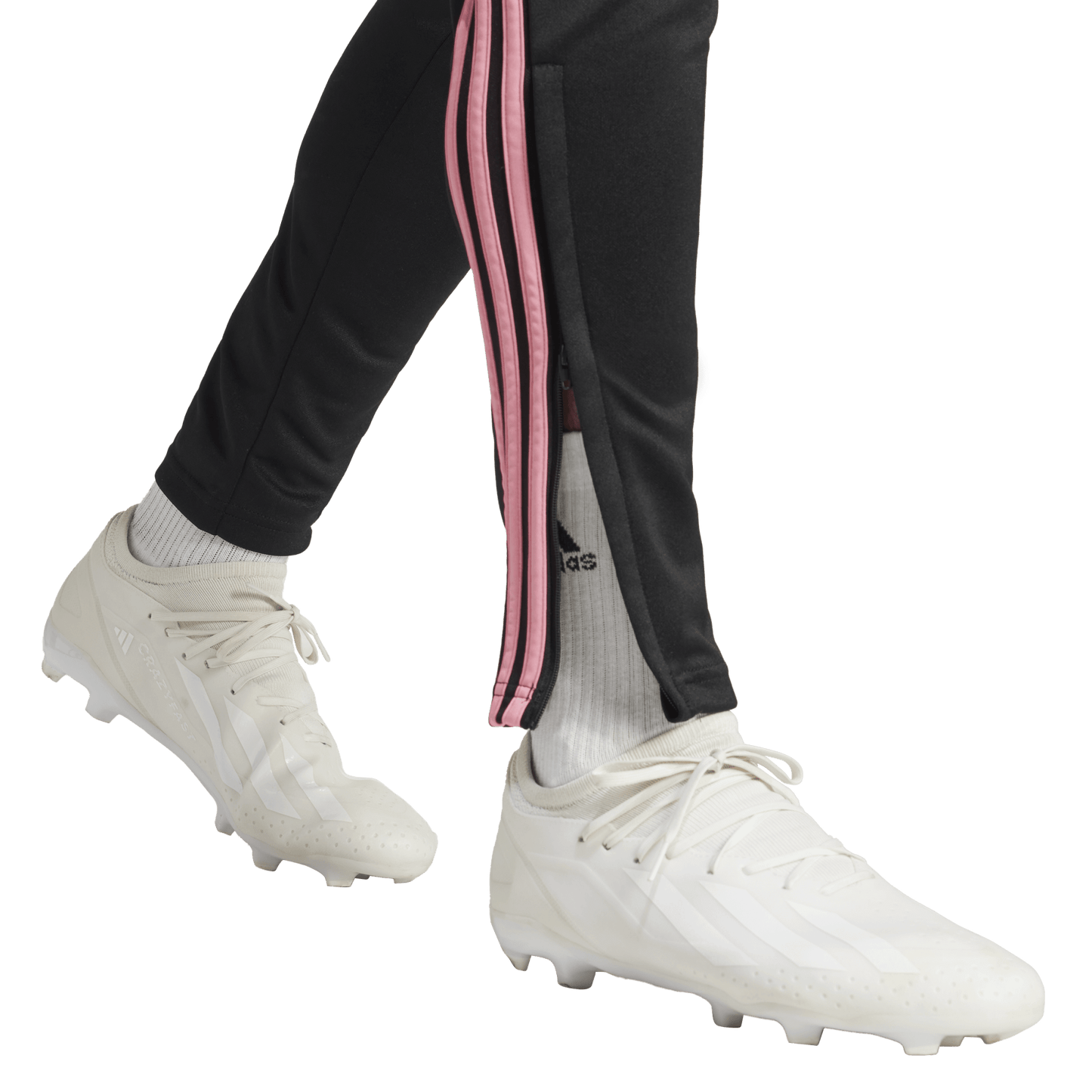 [ji8901] Mens adidas Tiro24 Training Pant