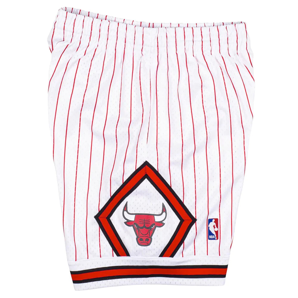 CHICAGO BULLS 1995-