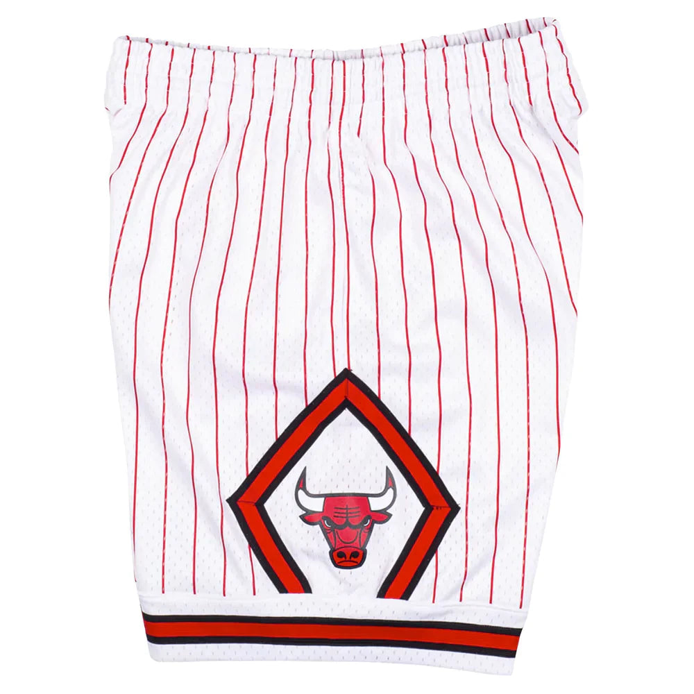 CHICAGO BULLS 1995-