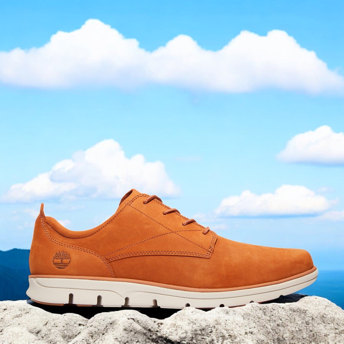 Timberland Men's Bradstreet Plain Toe Oxford Sneakers