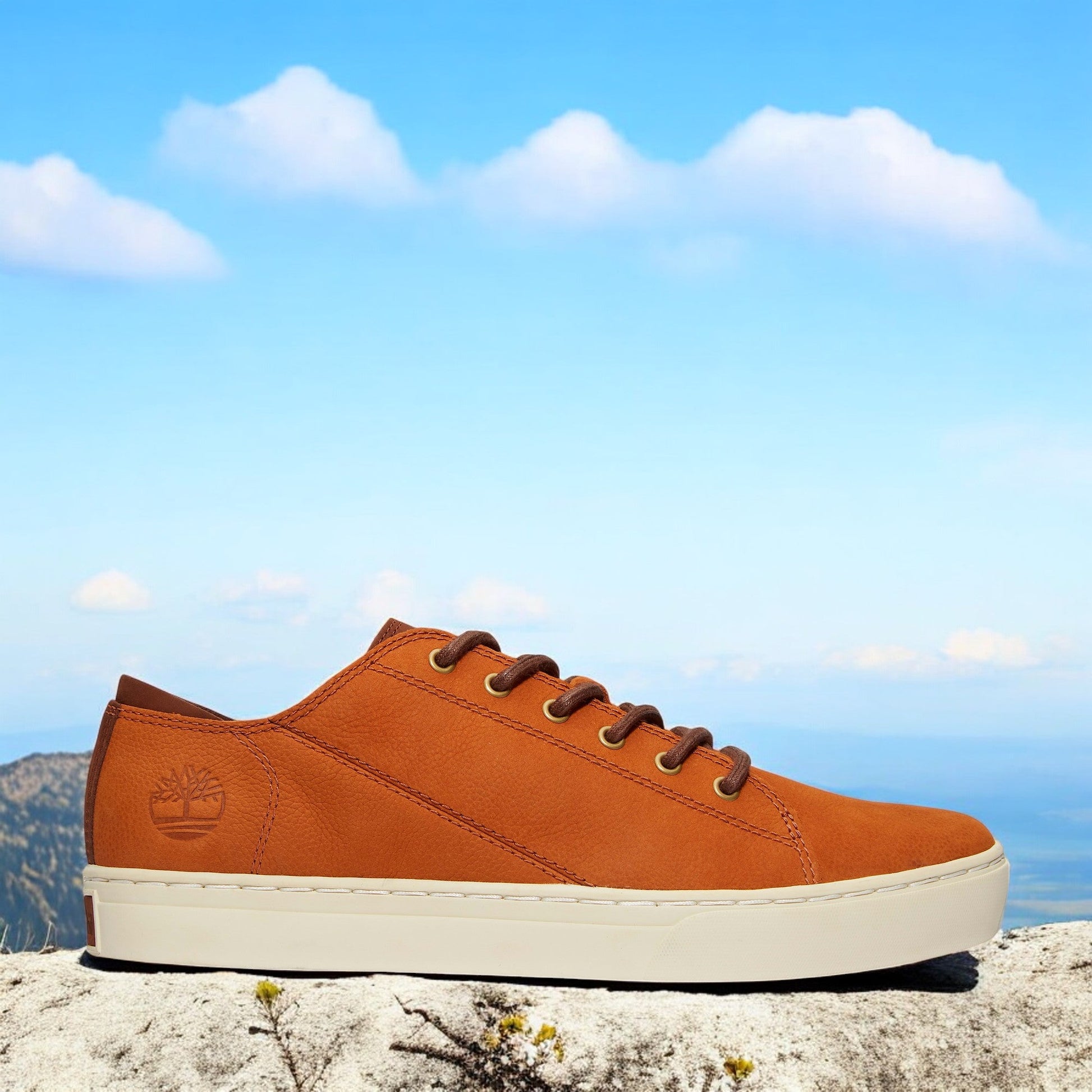 Rust Nubuck-