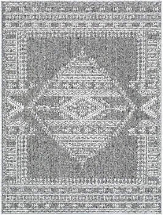 Asuman Outdoor Area Rug