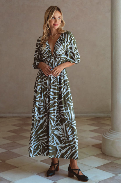 Olive Fern-