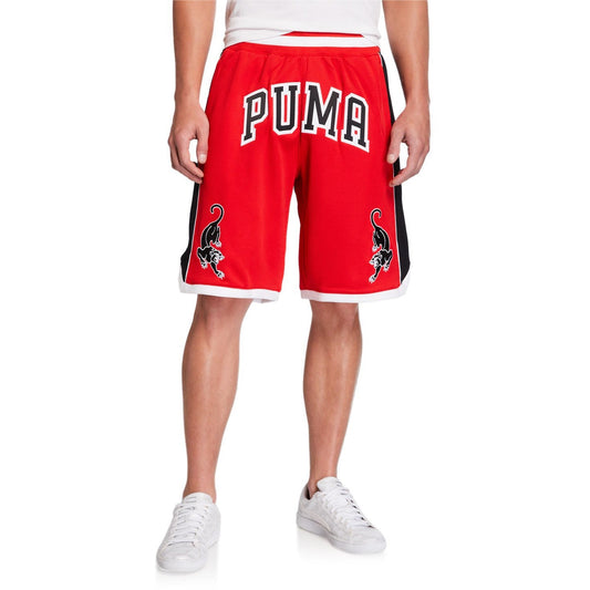 Puma Men's Last Dayz Mesh Shorts