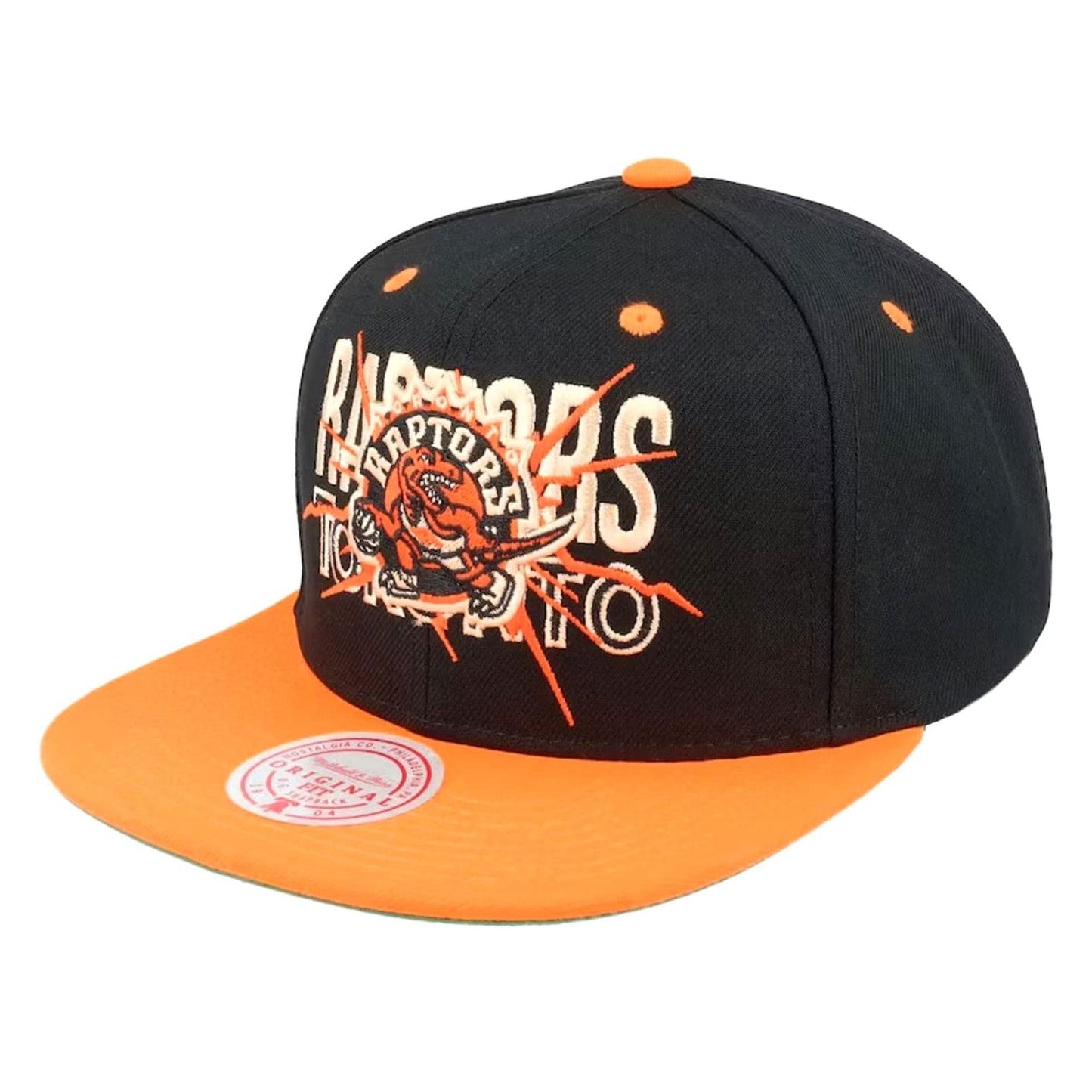 Mitchell & Ness Men's NBA Toronto Raptors Shattered Snapback Hats