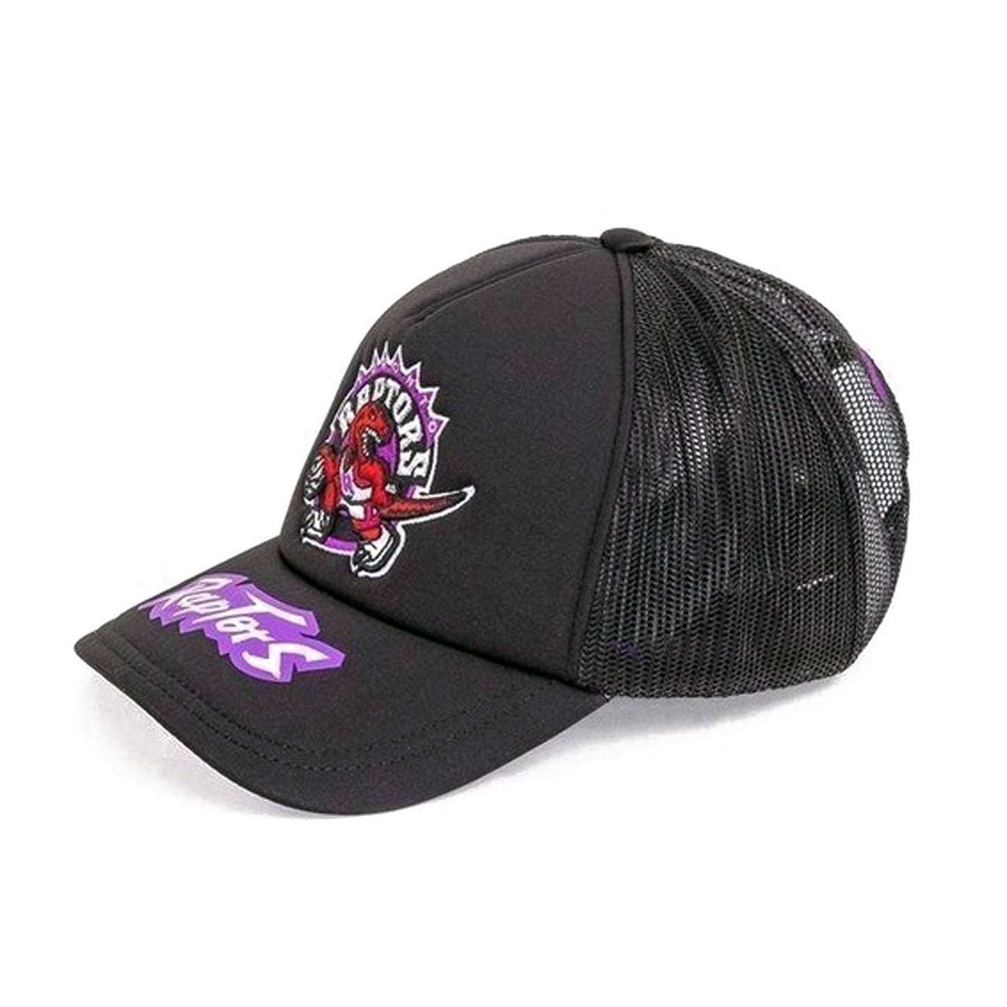 Mitchell & Ness Men's NBA Toronto Raptors Team Origins Trucker Snapback