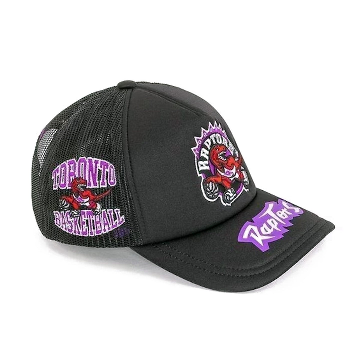 Mitchell & Ness Men's NBA Toronto Raptors Team Origins Trucker Snapback