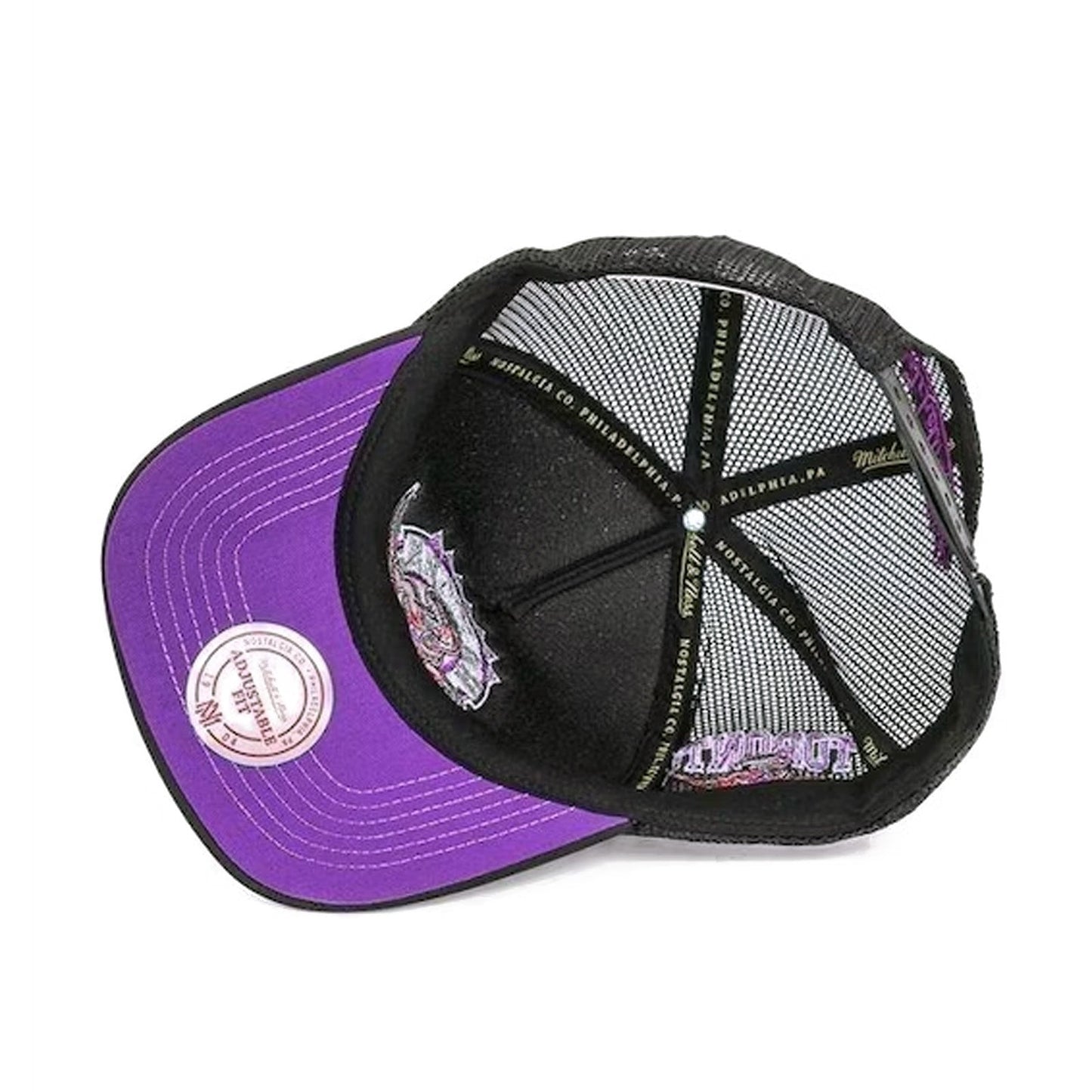 Mitchell & Ness Men's NBA Toronto Raptors Team Origins Trucker Snapback