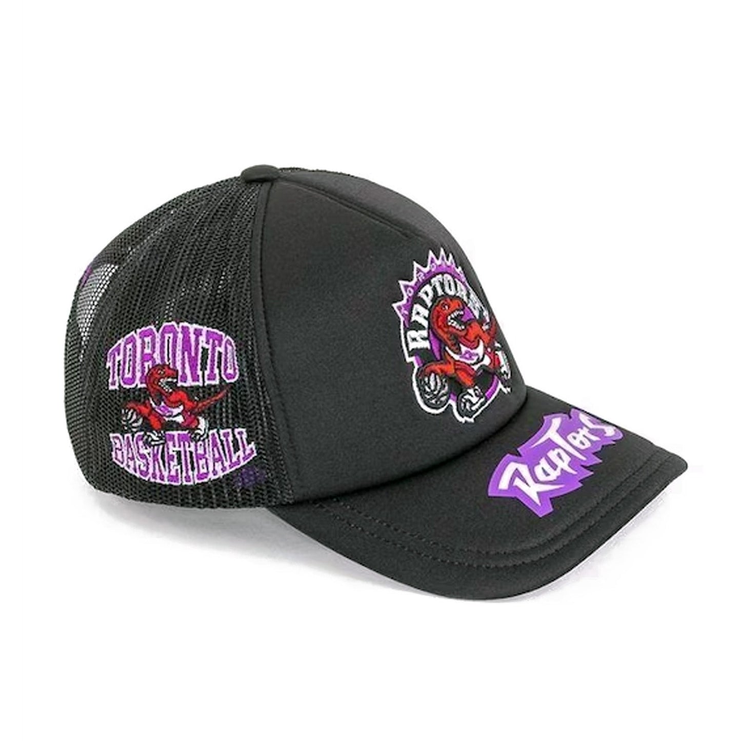 Mitchell & Ness Men's NBA Toronto Raptors Team Origins Trucker Snapback