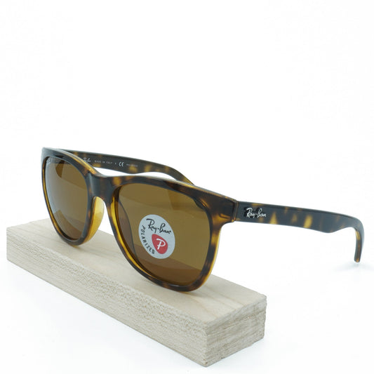 Men's Ray-Ban Wayfarer Polarized Sunglasses