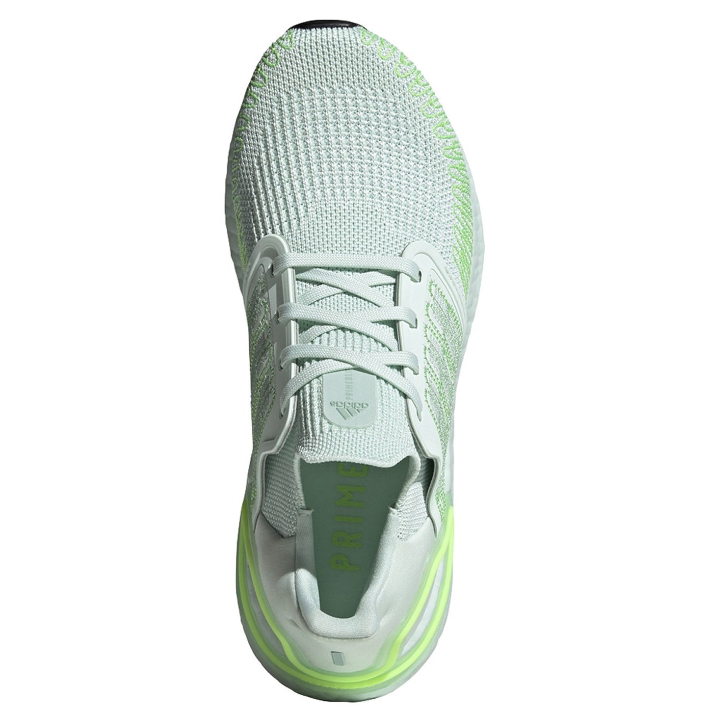 Dash Green / Green Tint / Signal Green-