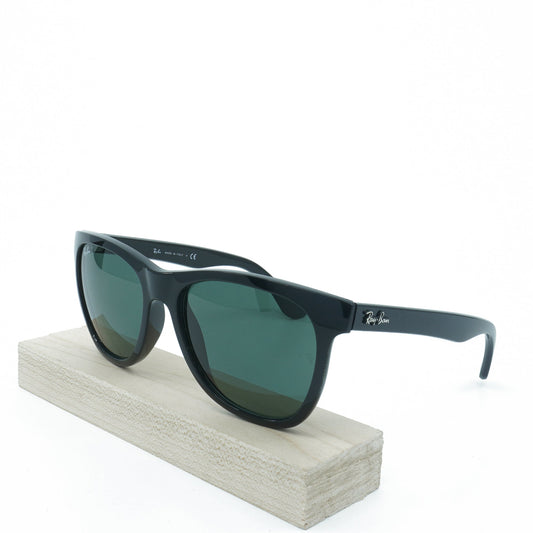 Ray-Ban Men's Wayfarer Sunglasses