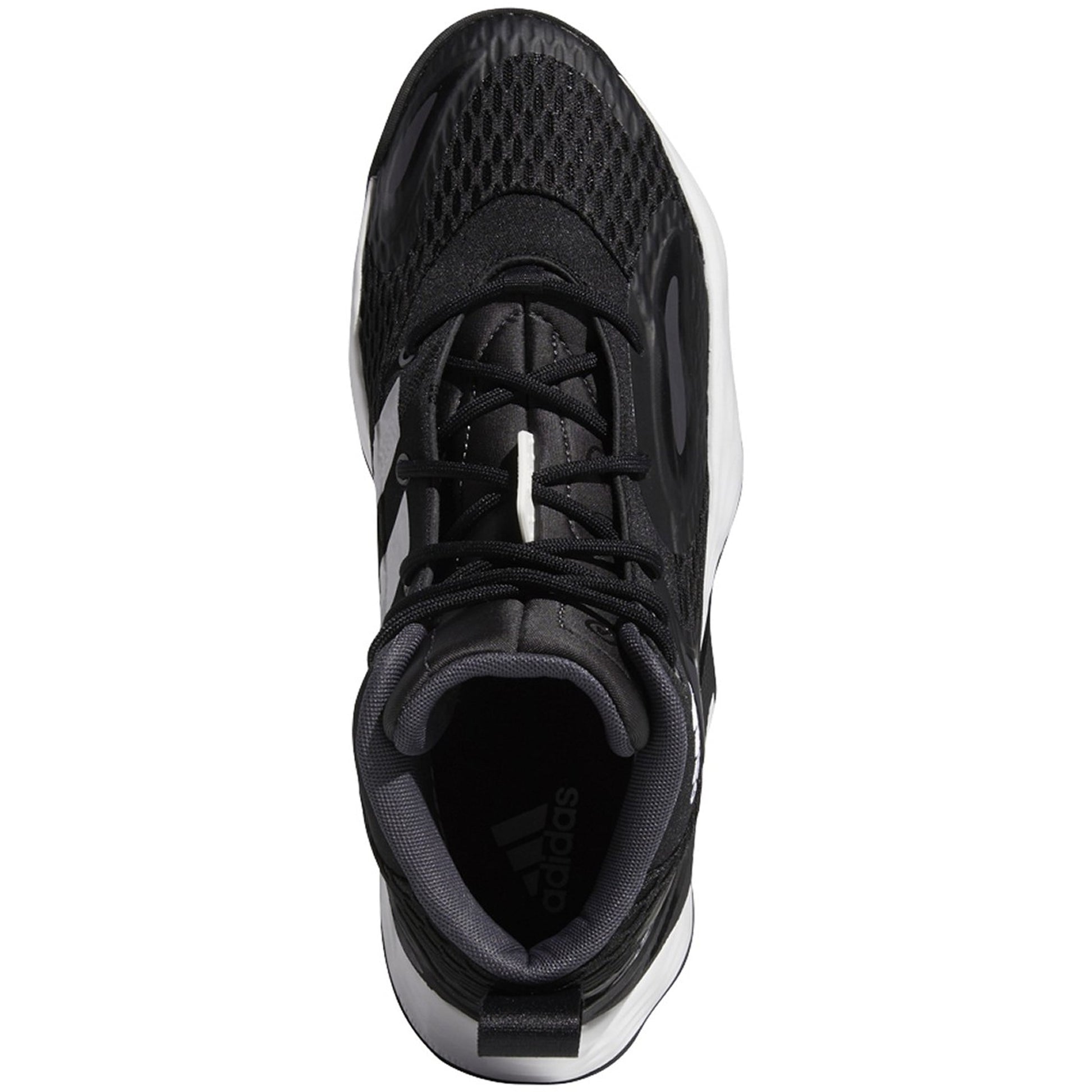 Cblack,Silvmt,Tmdrgr-