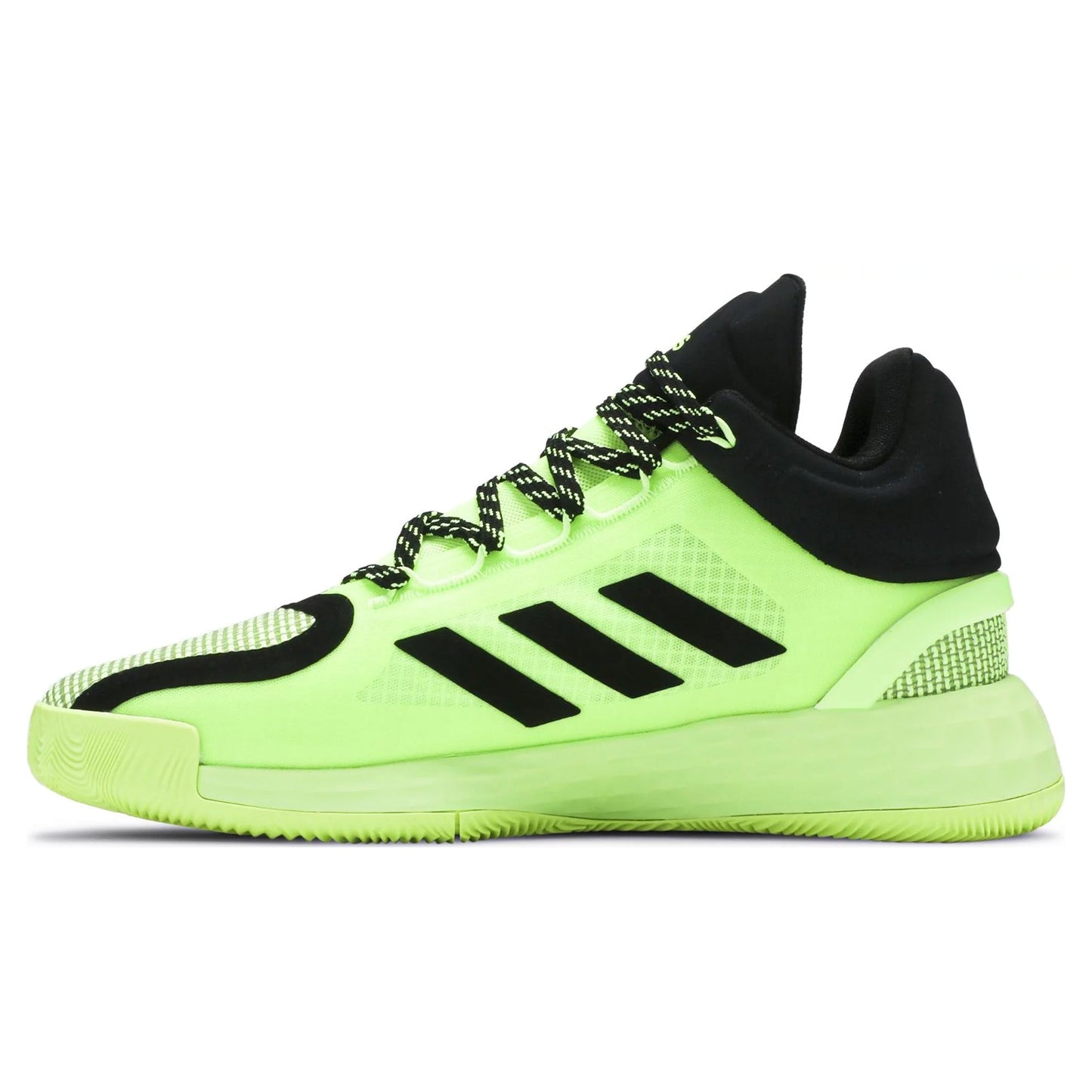 Siggnr,Cblack,Siggnr-