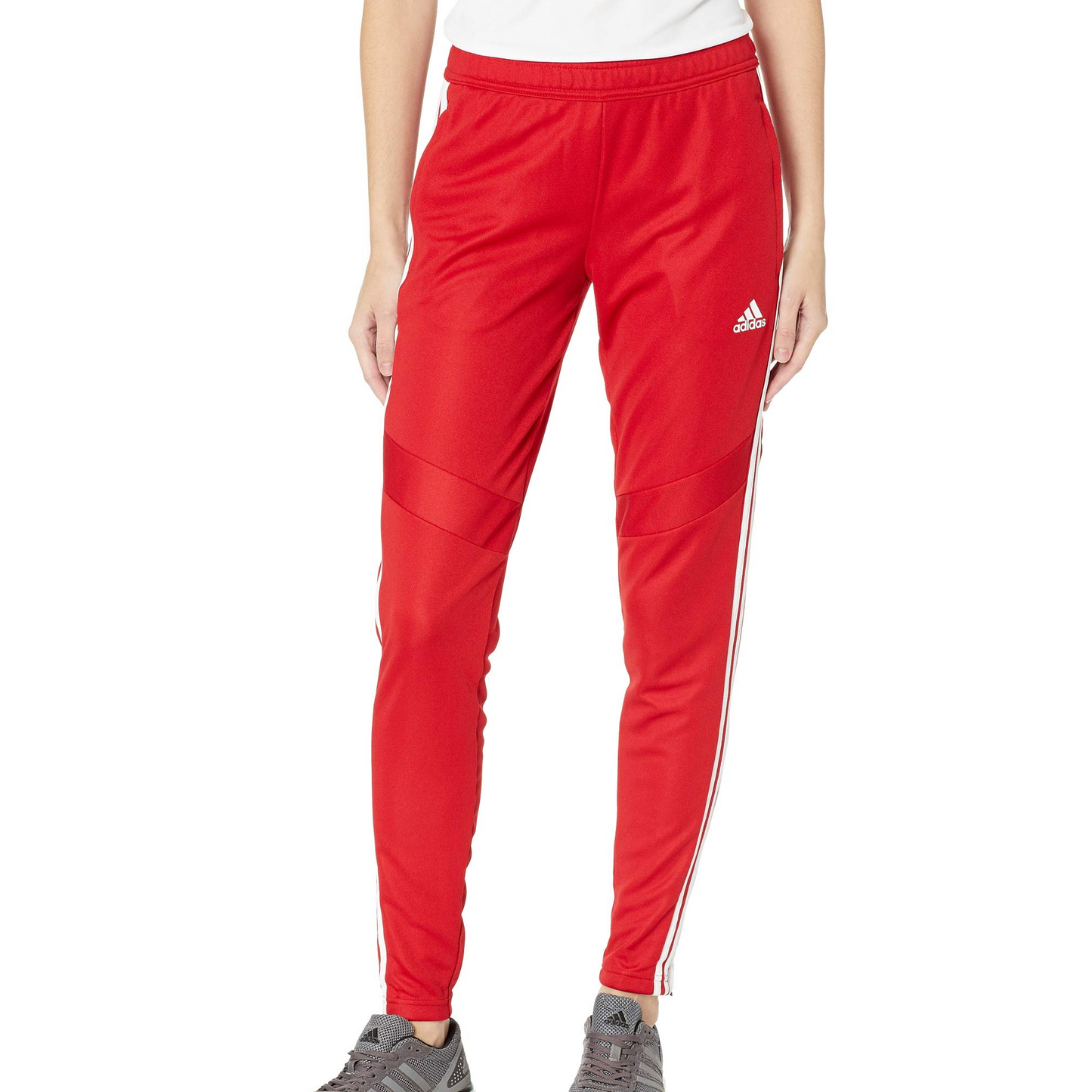 Women's adidas Tiro19 Training Pant