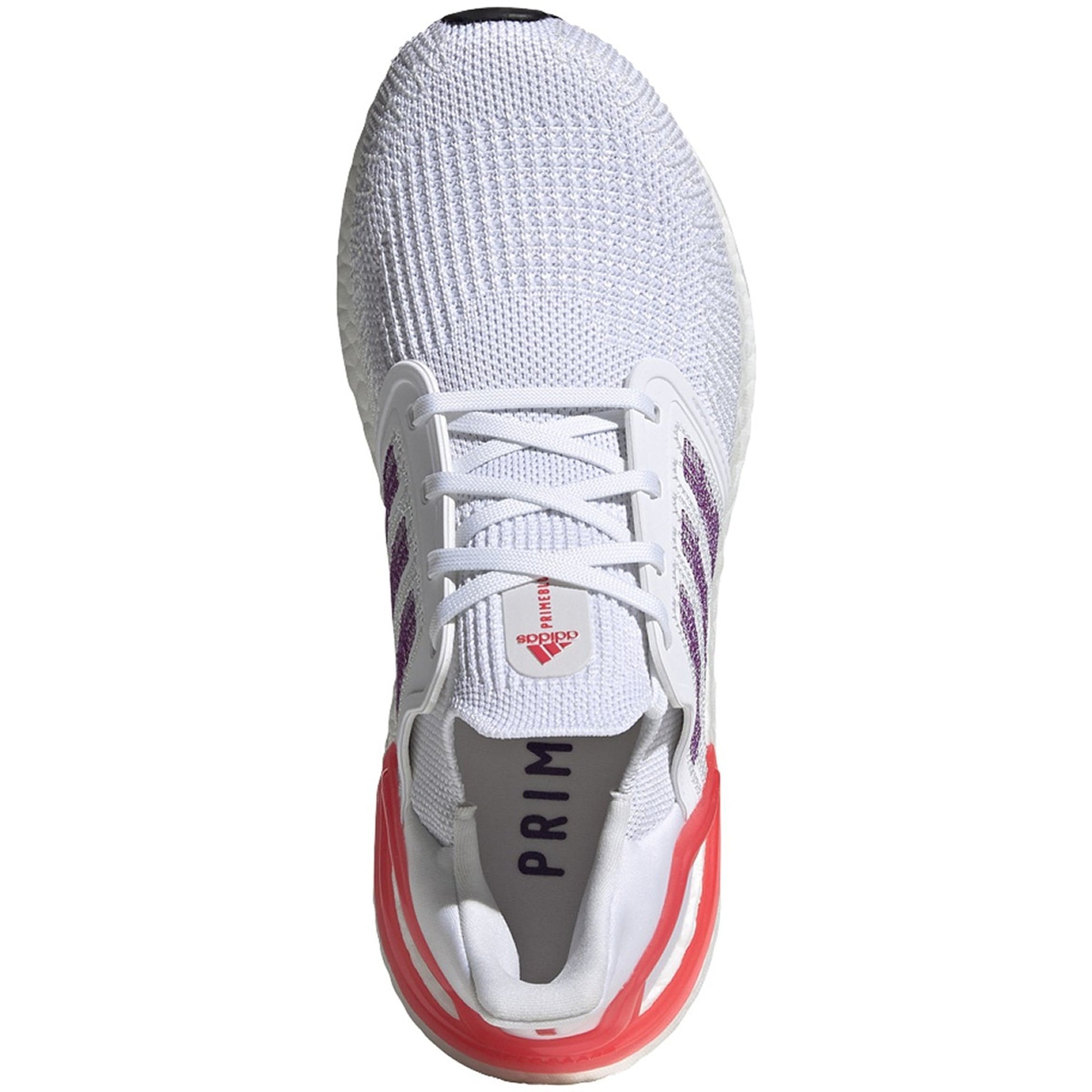 Ftwwht,Gloprp,Shored-