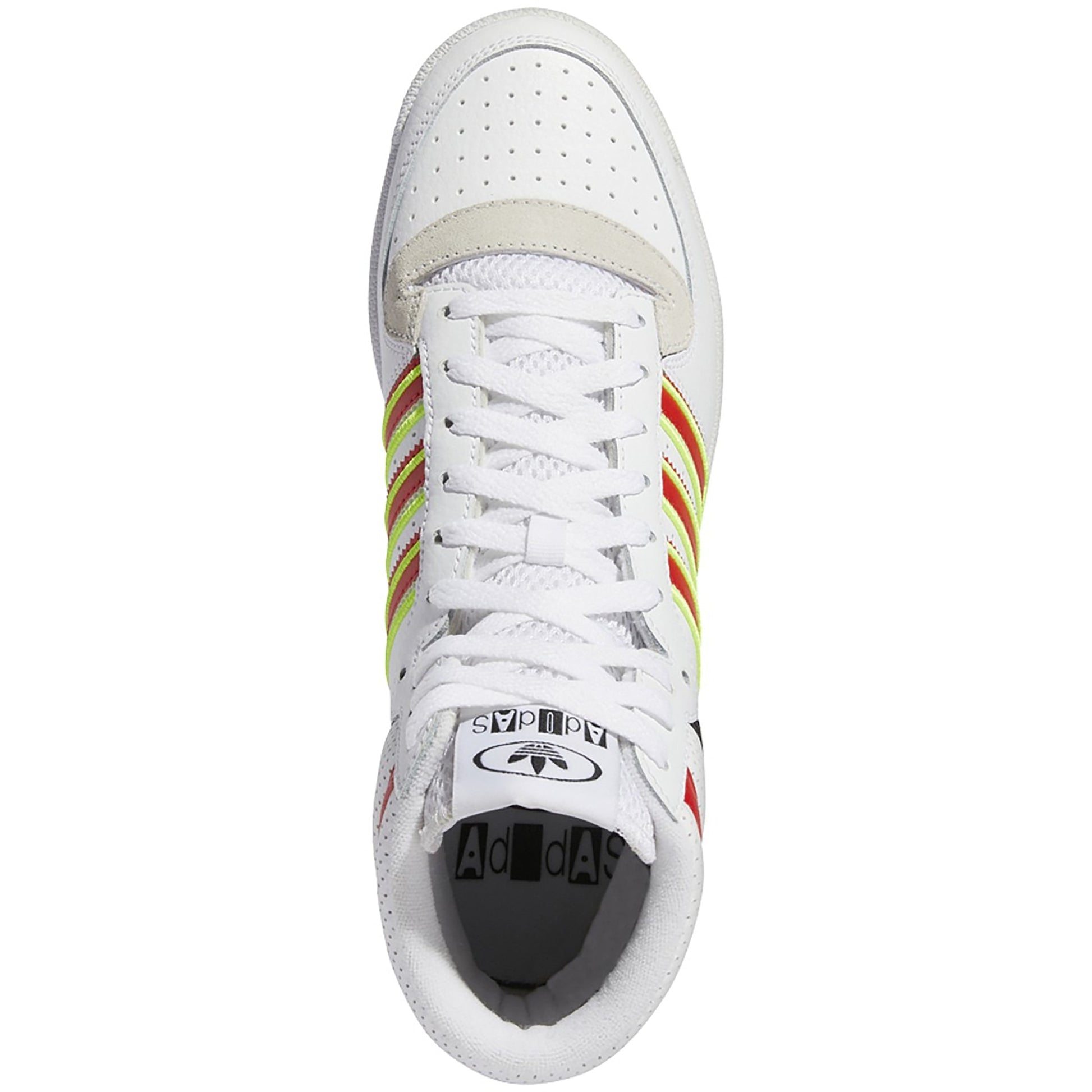 Ftwwht,Vivred,Syello-