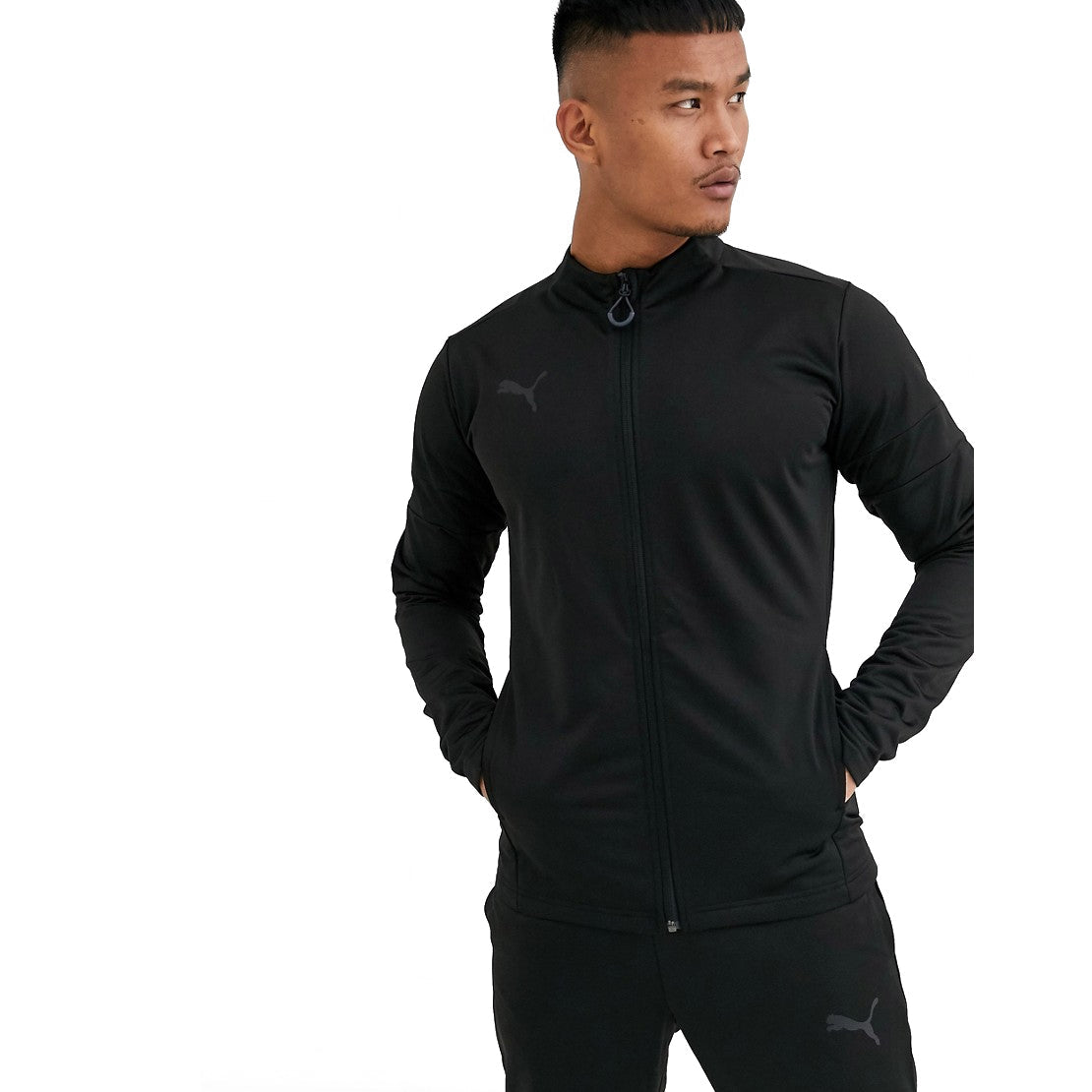 Puma Men's Ftblplay Tracksuit