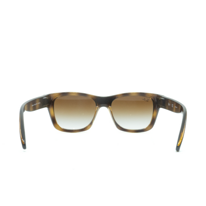Ray-Ban Men's Square Sunglasses
