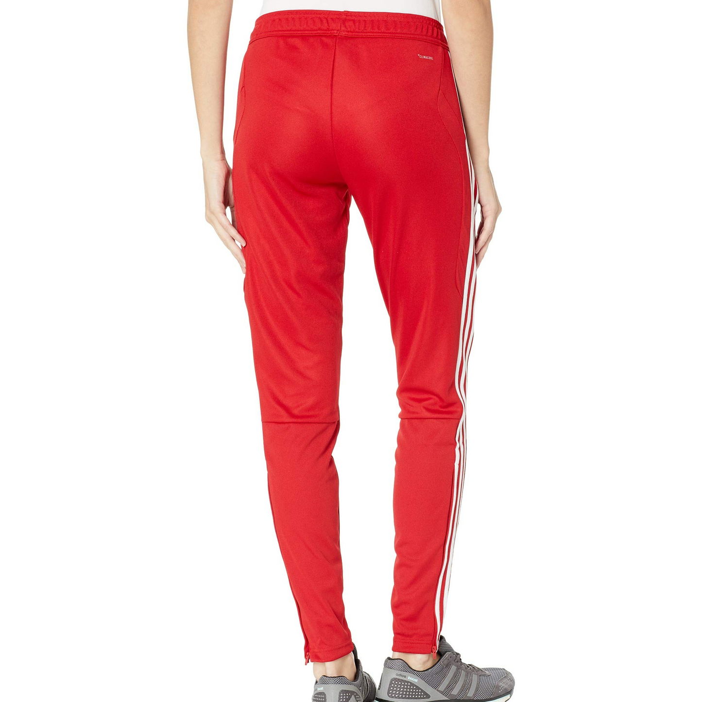 Women's adidas Tiro19 Training Pant