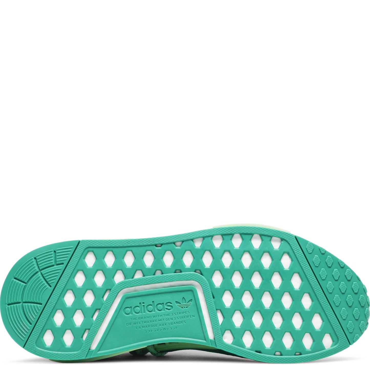 Corgrn,Glomin,Cblack-