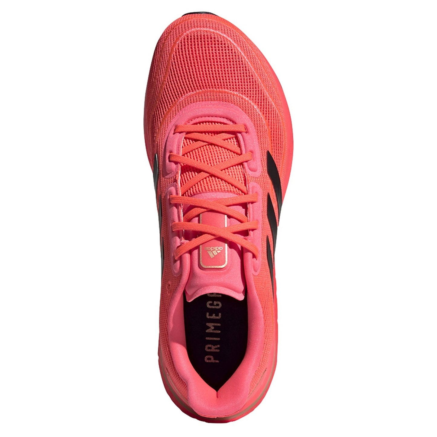 Sigpnk,Cblack,Coppmt-